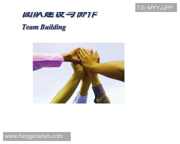 南京羽毛球队团队协作的成功之道与经验分享