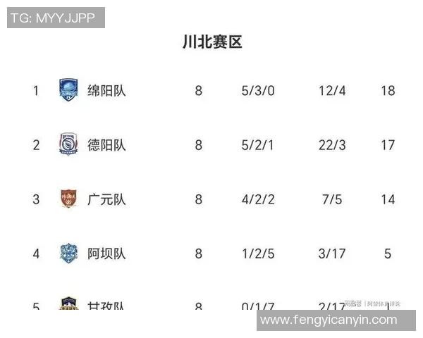 成都羽毛球队在挑战赛积分榜中以82分稳居第一名展现强劲实力