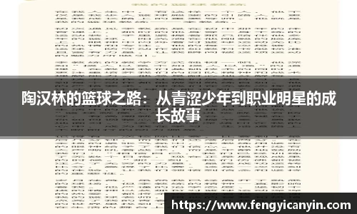 陶汉林的篮球之路：从青涩少年到职业明星的成长故事